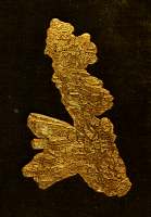 Crystalline gold from Liversidge's minerals of NSW, 1888